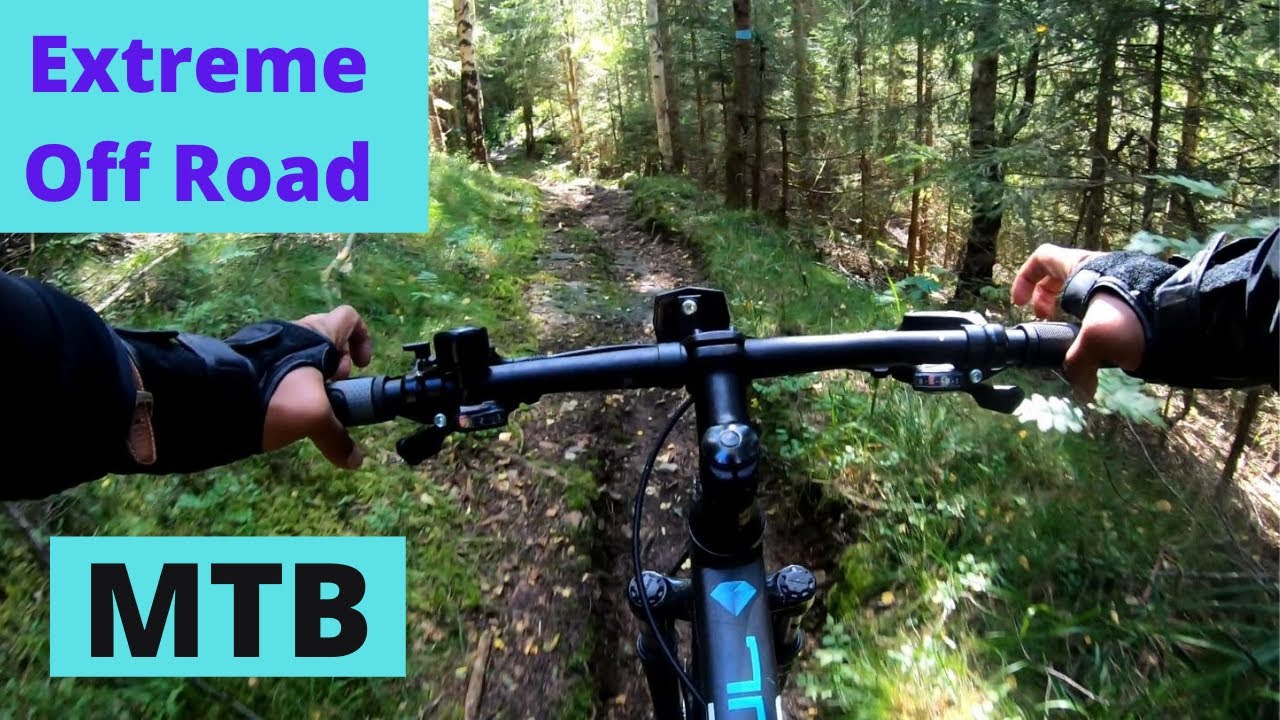 Mountain Biking (MTB) (Oslo Summer Park) frognerseteren downhill, Oslo, Norway