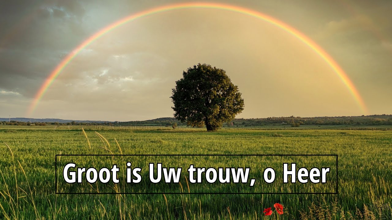 Groot is Uw trouw, o Heer - Marjolein van Hoef