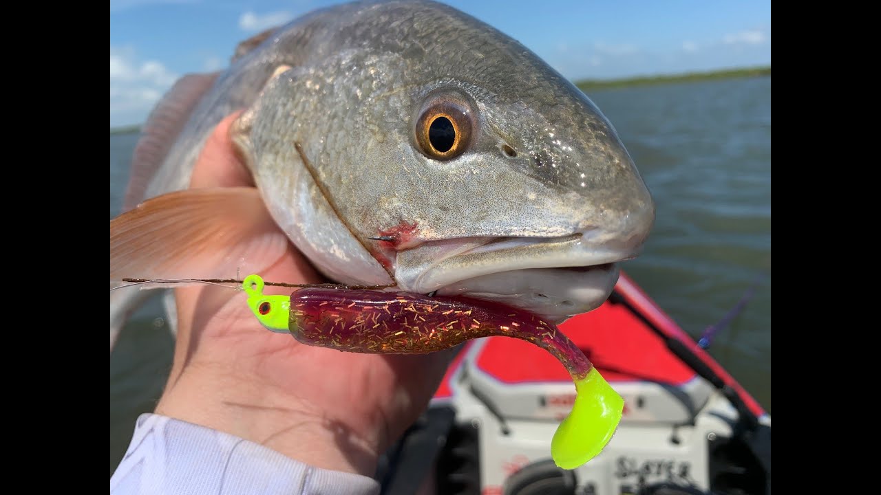 The Salty Yak Matagorda Island Kayak Fishing and Camping Trip - Eat what you CATCH!