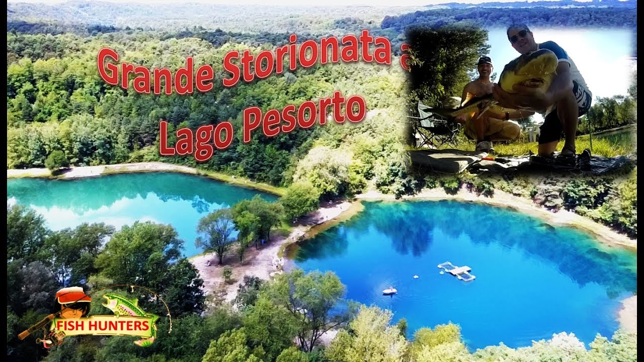 LAGO PESORTO: 320 KG DI STORIONI  IN UNA MATTINA