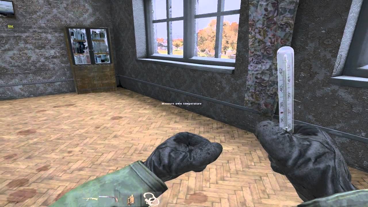 DayZ Standalone Medical Thermometer SA   Survive