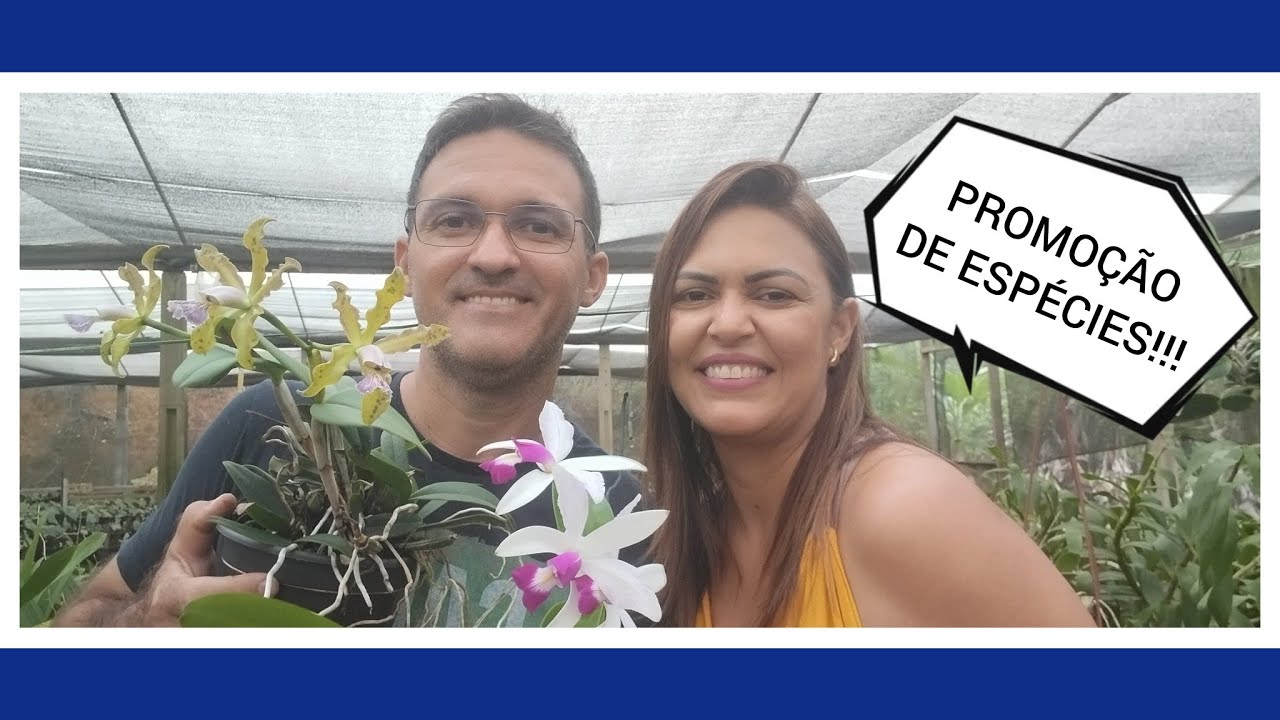Orquidário Monte Negro - promoção de espécies no site