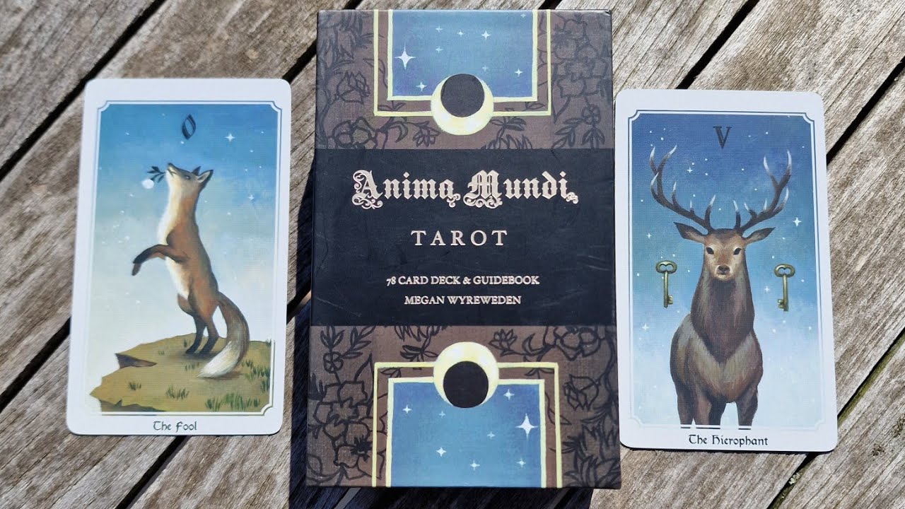 🦦🦌Le magnifique Anima Mundi tarot de Megan Wyreweden 🦌🦦