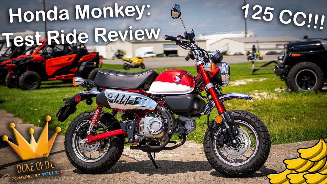 2019 Honda Monkey Test Ride Review [Scooter or Motorcycle?!]