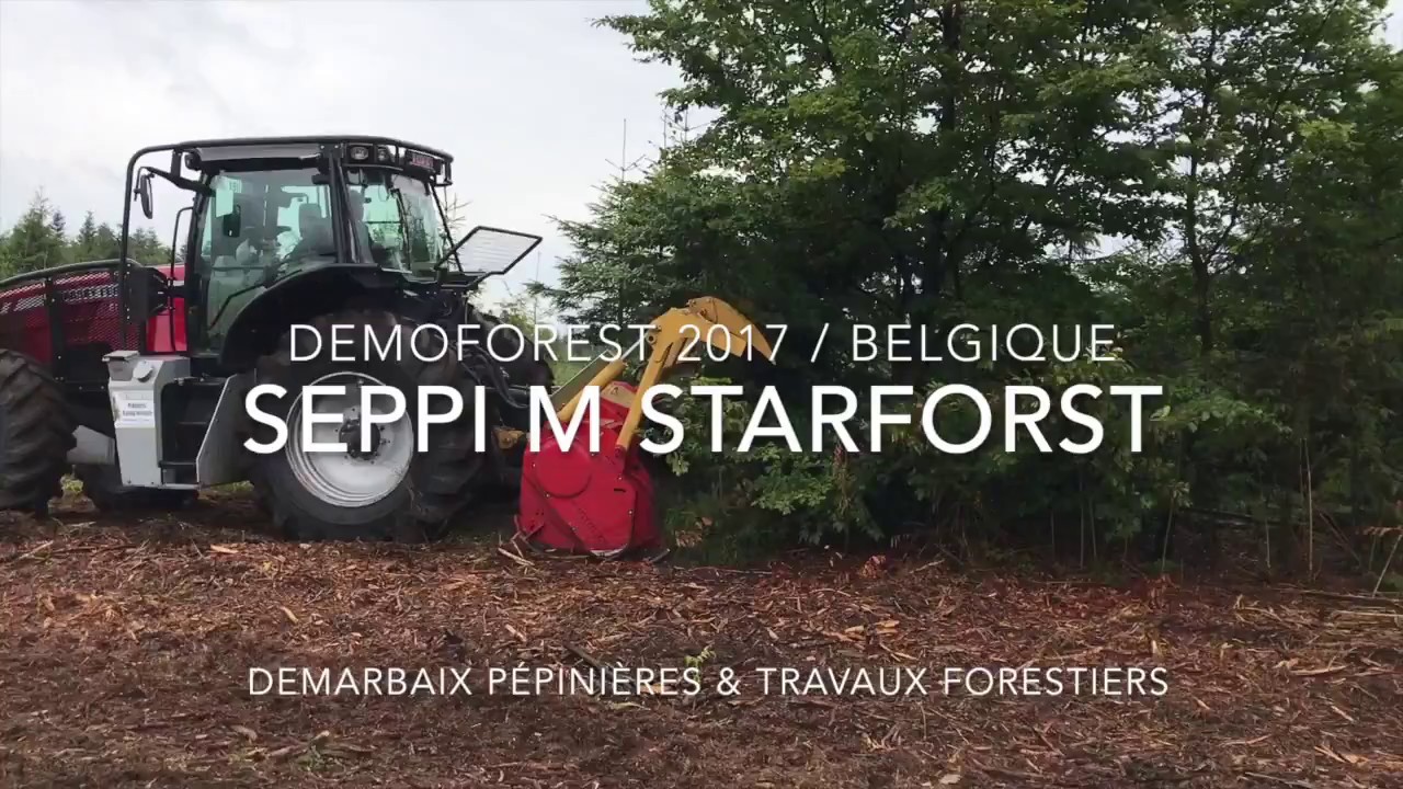 Seppi m Starforst
