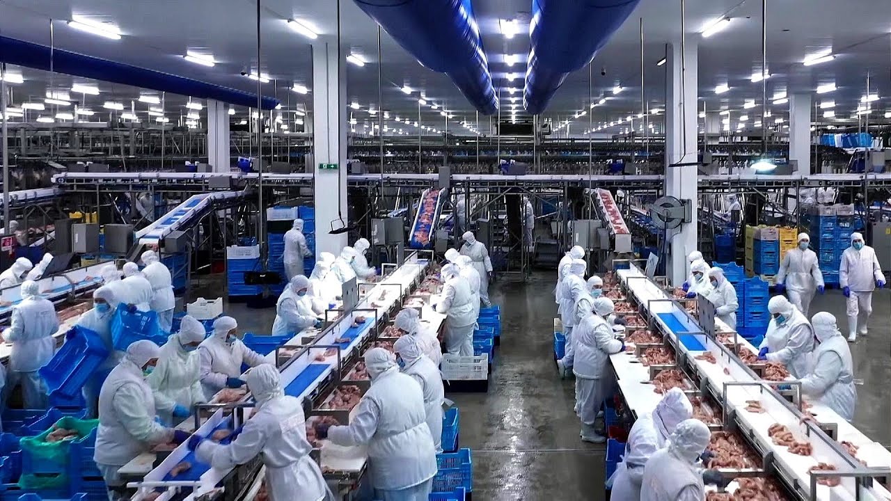 Plodovi zemlje, 24. studenoga 2024.