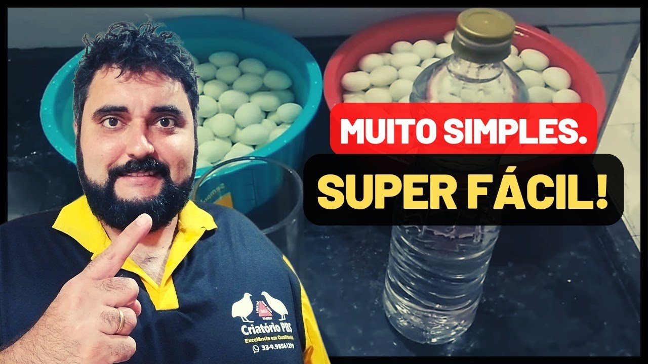 SEGREDO REVELADO: APRENDA COMO FAZER A MELHOR CONSERVA DE OVOS DE CODORNA! FÁCIL, PRÁTICA E SABOROSA