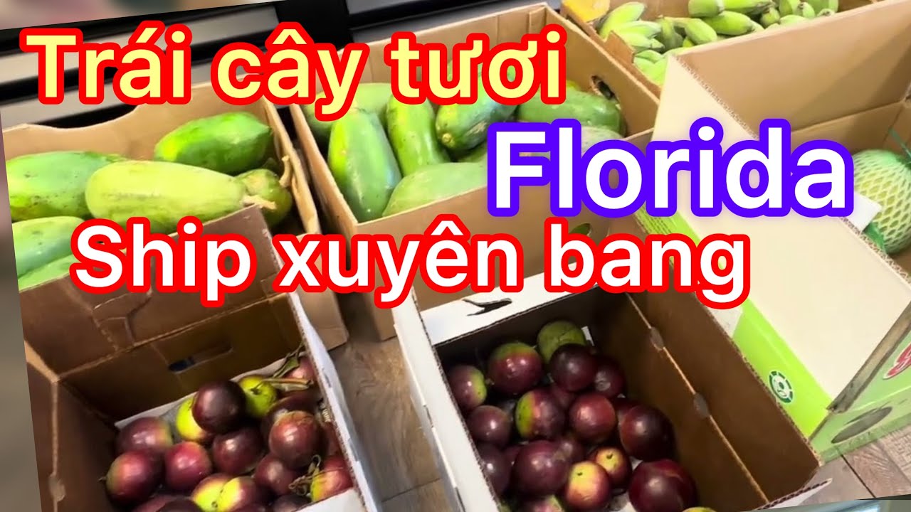 Tiệm trái cây cô kim đã trở lại và sẽ ship xuyên bang ,mùa nào trái đó 
