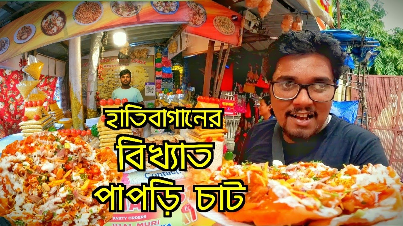 শ্যামবাজারের বিখ্যাত পাপড়ি চাট | Vojon Rosik Vlog 9