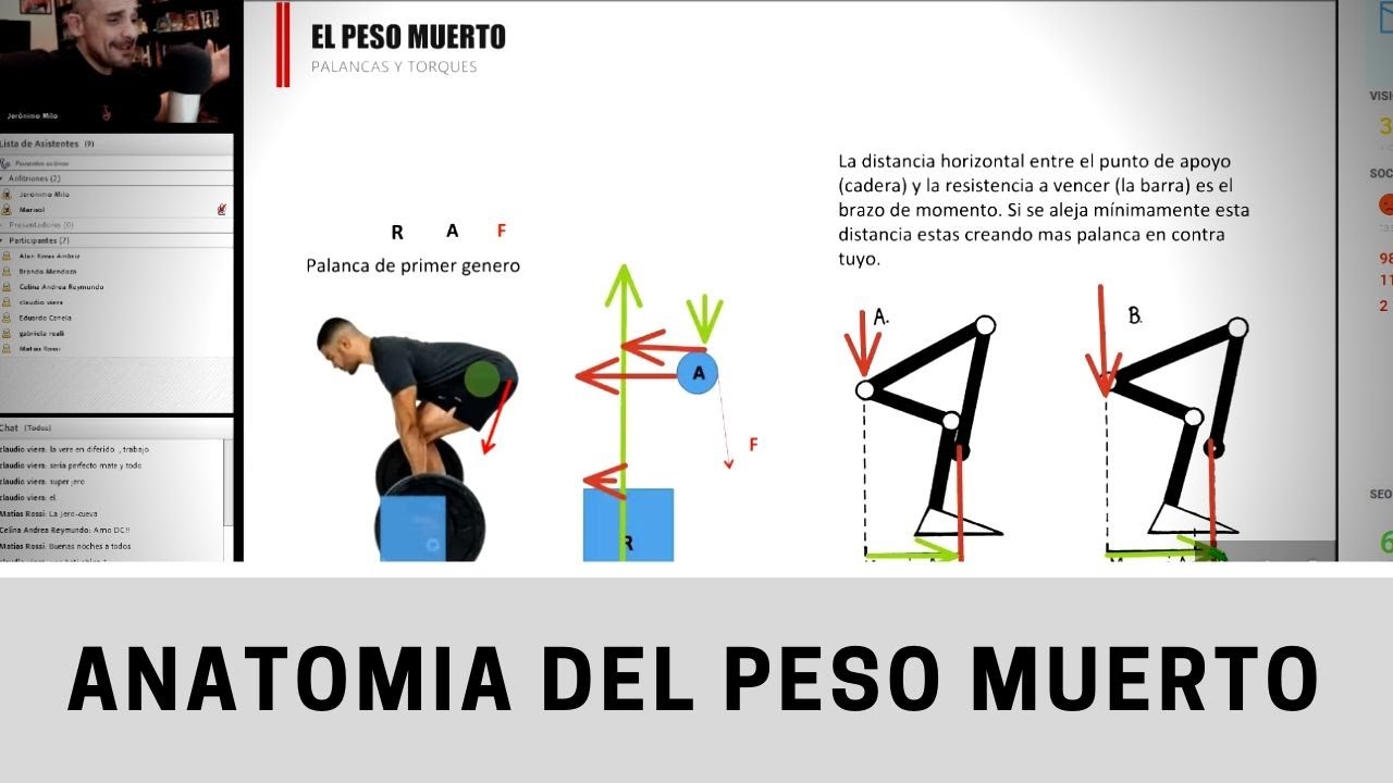 Como es la anatomía y biomecánica del peso muerto?
