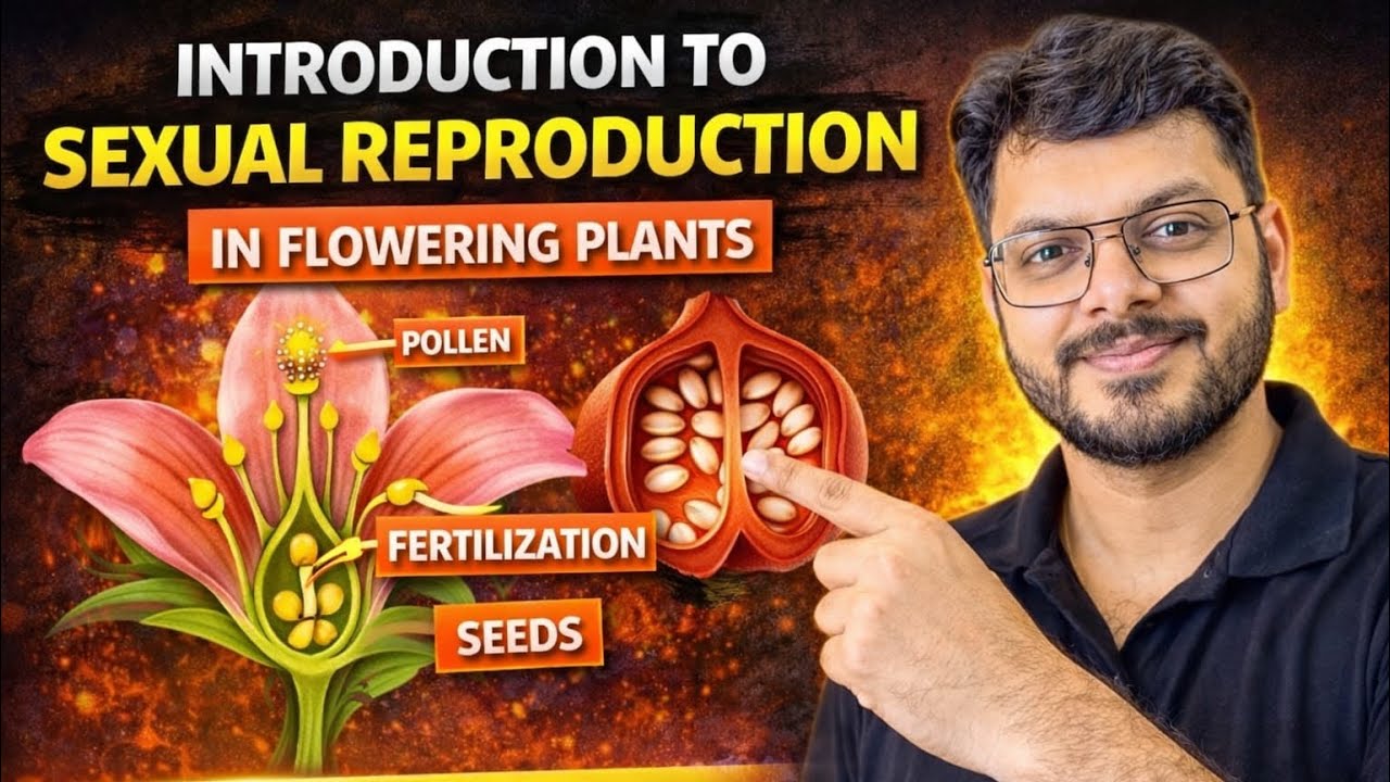 Sexual Reproduction In flowering Plants. Complete revision Class XII and NEET part-1 Parts of flower