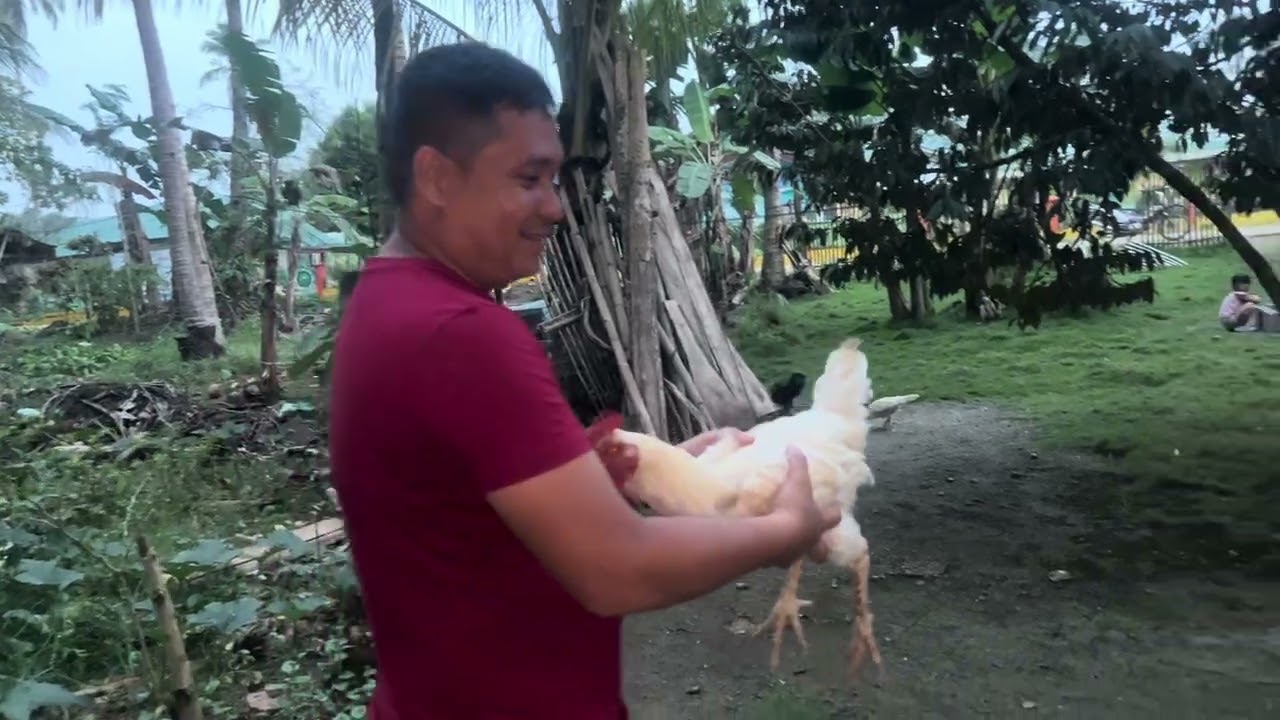 It’s Chicken Time!!!🐥🐣🐓