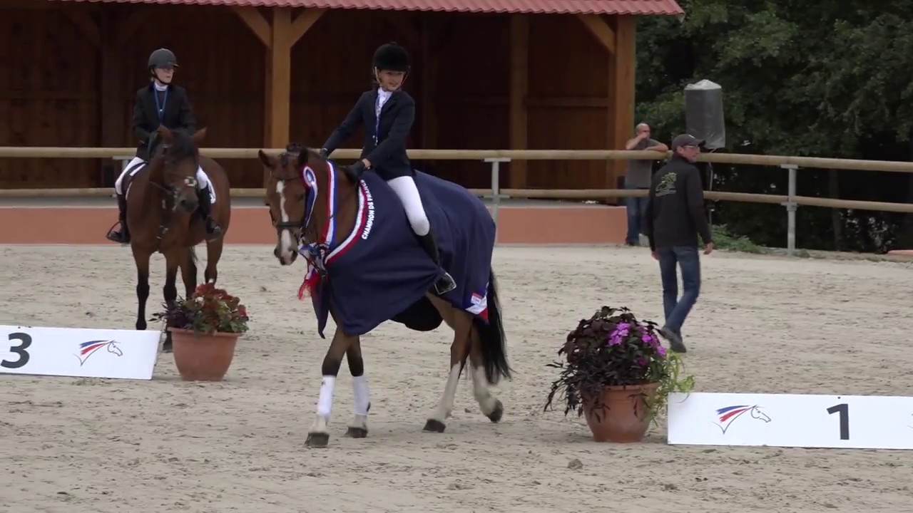 LAMOTTE 2017 DRESSAGE CHAMPIONNAT DE FRANCE
