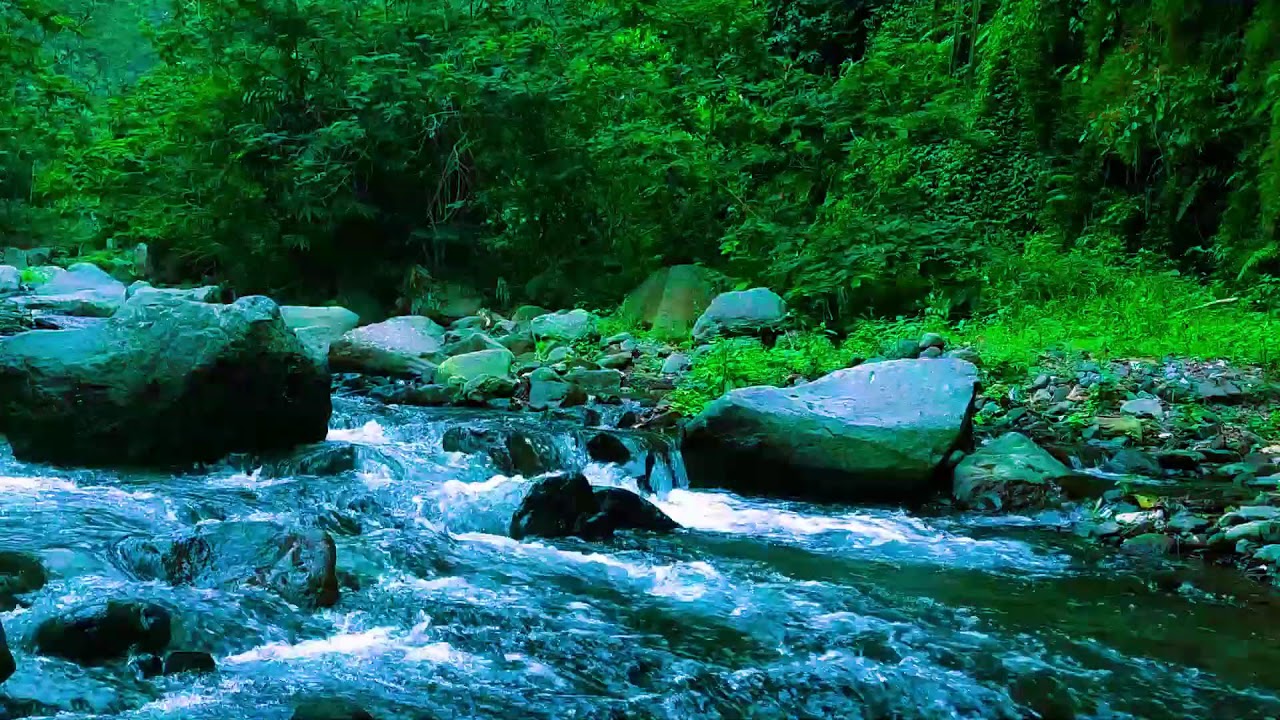 Roaring River Sounds  10 Hours Continuous Water Noise for Deep Sleep
