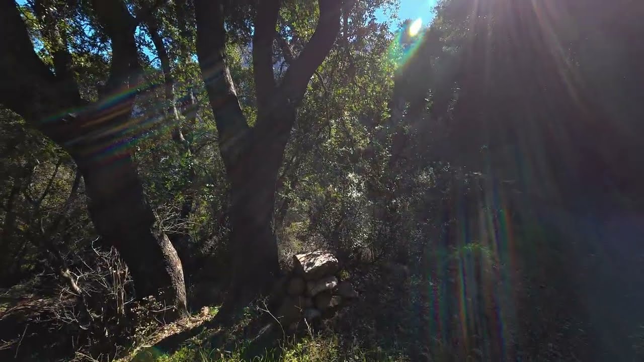 Wolk in nature - Crete - 4k film