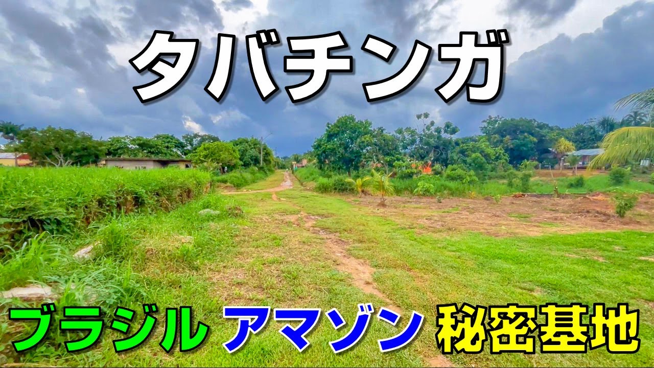 【アマゾン船旅3-3】アマゾン国境越え｜サンタロサからレティシア、そしてタバチンガへ