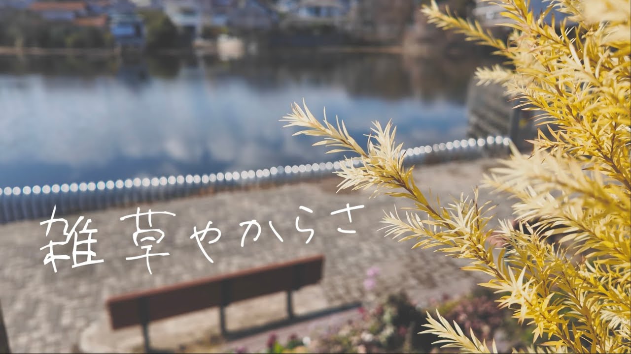 「雑草やからさ」｜第6話 スズメノカタビラ