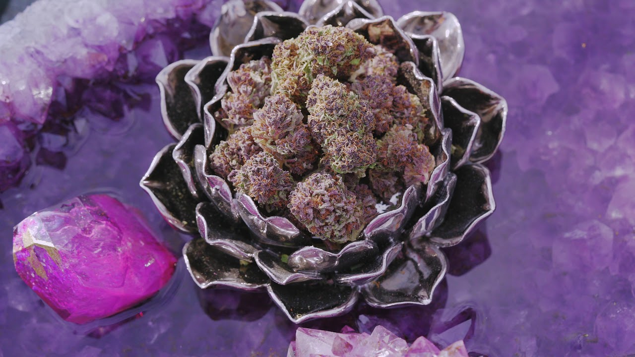 Ultraviolet - Lagniappe Farms Spot No.2