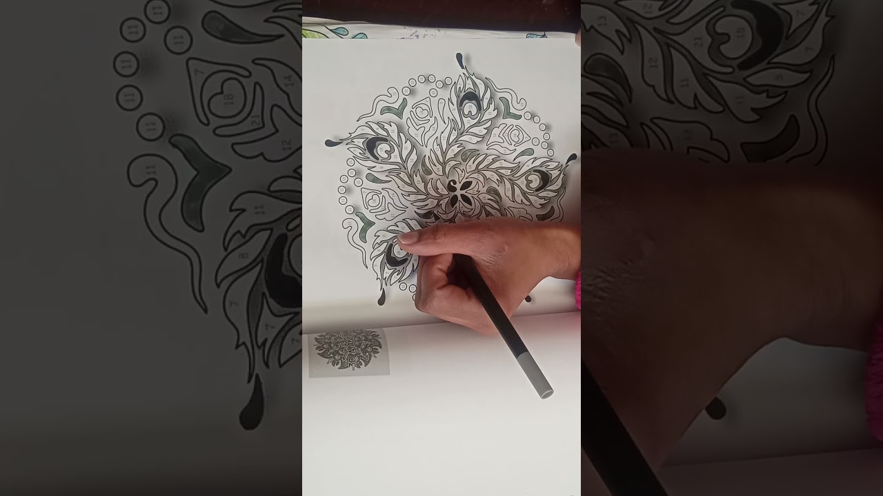 #adultcoloring #2026 #colorbynumber 