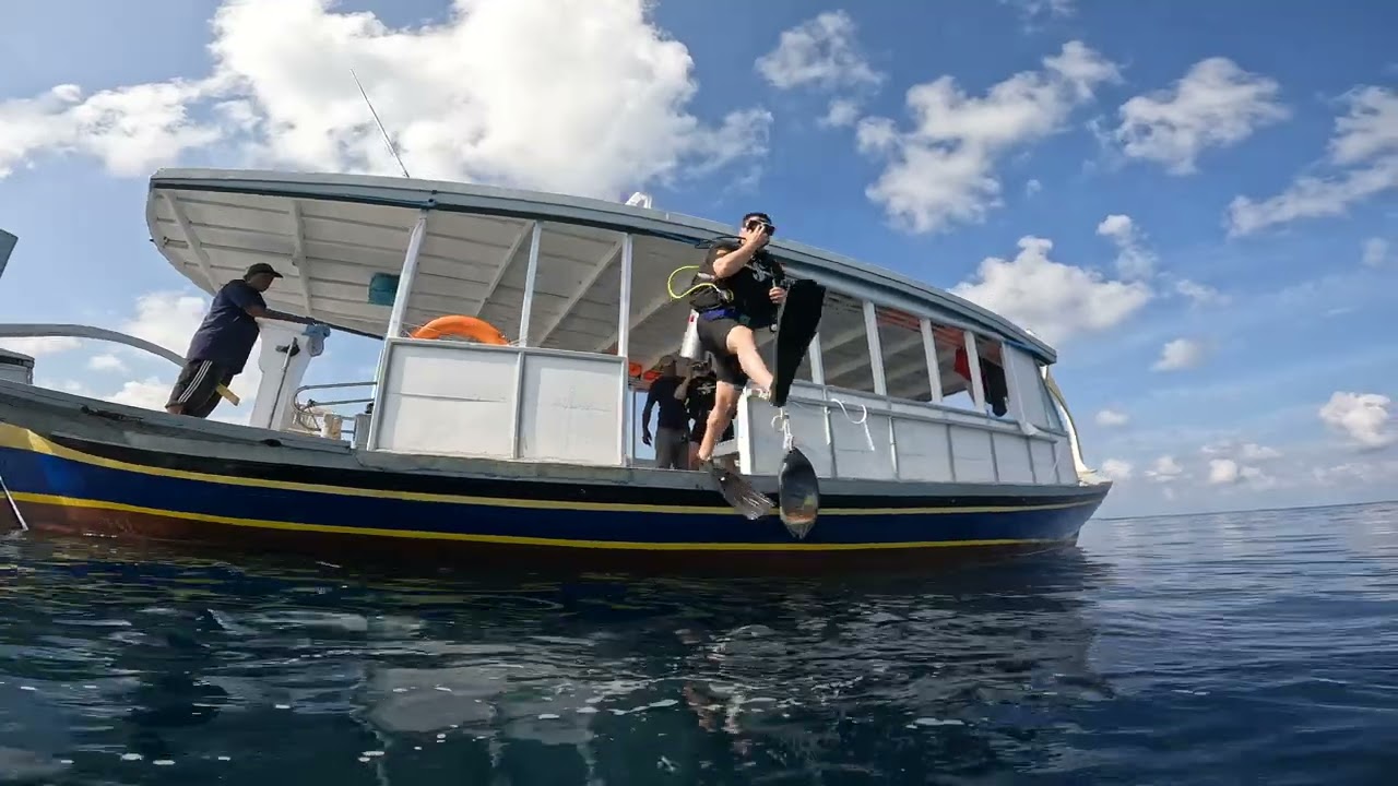 How many sharks did you count? Miyaru Kandu in Vaavu, Maldives.