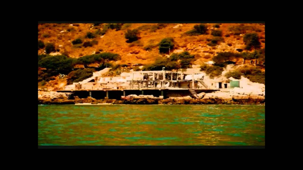 SEAGULL 2012