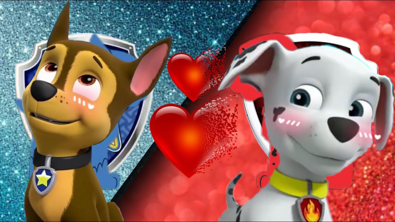 💙Chase X Marshall❤️ {Paw Patrol Edit}