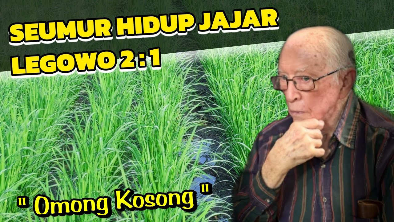 Tak Kenal Musim Selalu Pakai Jajar legowo 2 : 1❗Mari Kita Review