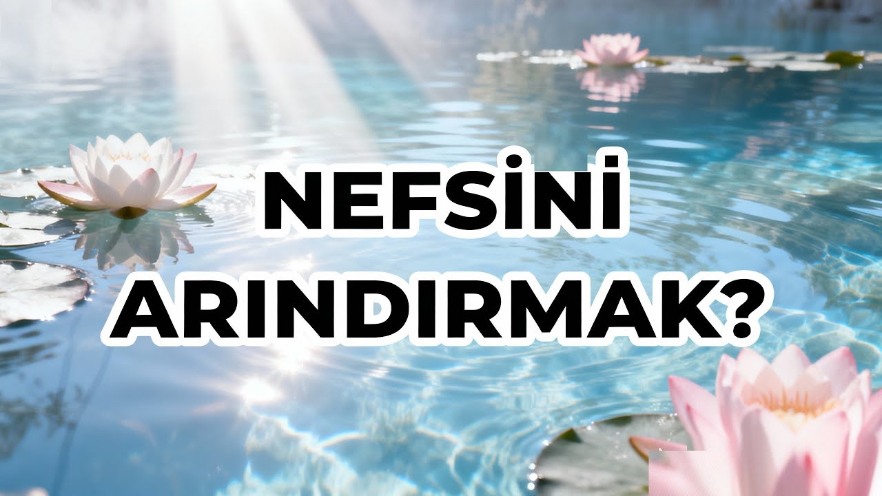 NEFS NEDİR?