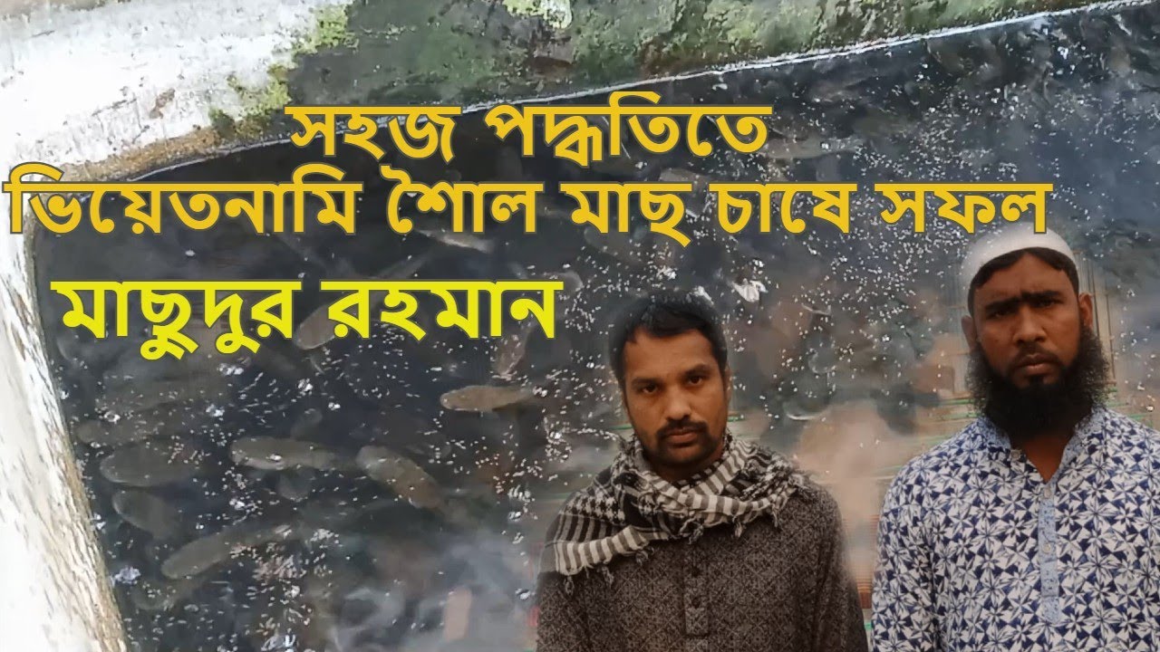 সহজ পদ্ধতির মাছের হারভেস্টিং ও লাভ ক্ষতি হিসাব Ep-4 রুবেল মিয়া  Mach Bari।।সহজপদ্ধতিতে মাছ চাষ