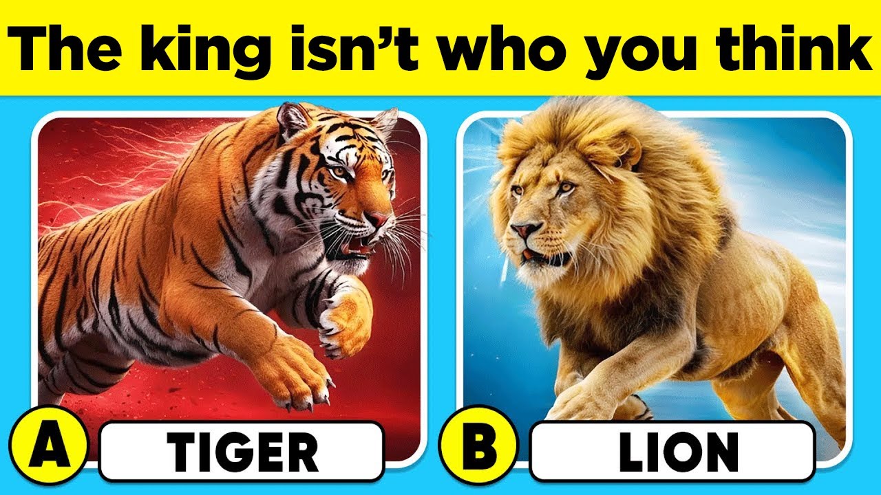 Only True Animal Lovers Can Score 50/50 | Ultimate Animal Quiz