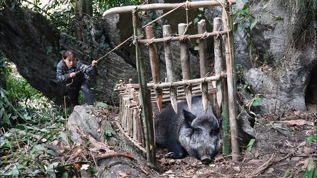 Detect traces of wild boar, immediately set traps to surround and capture them , survival alone