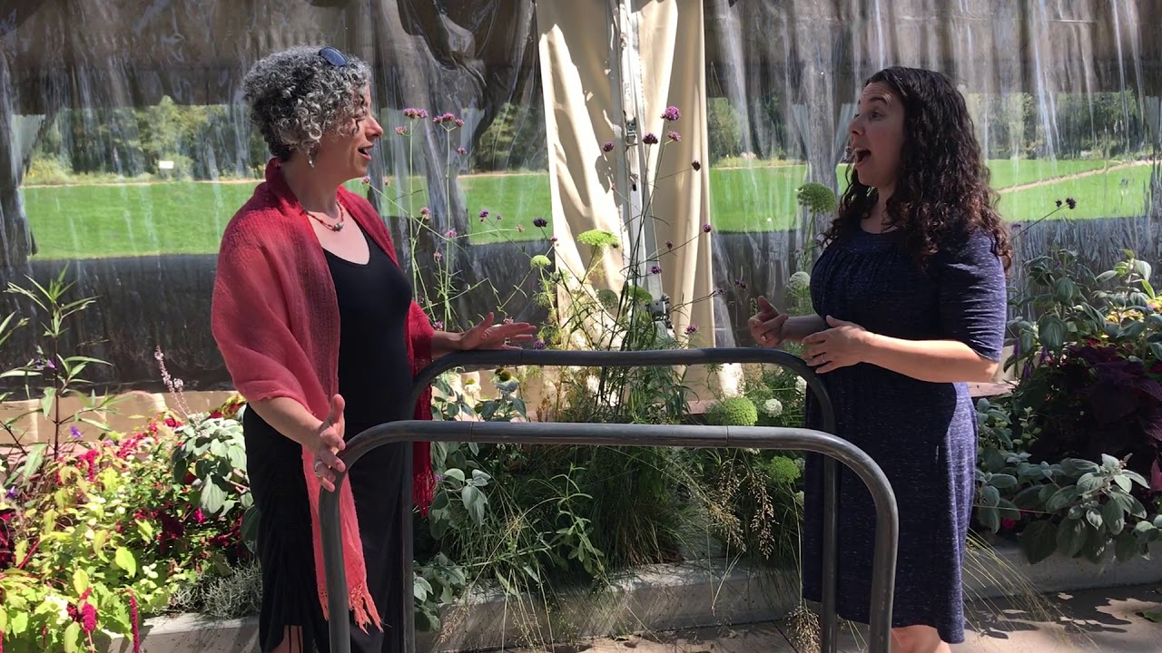 Judaism Your Way: Dr. Caryn Aviv and Rabbi Amanda Schwartz