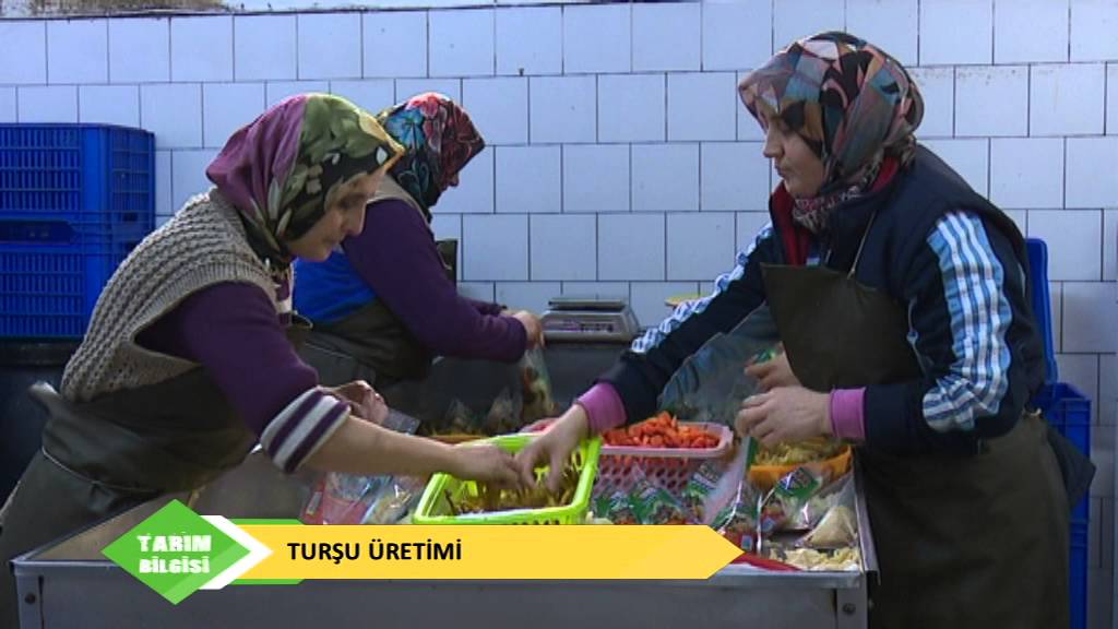 TARIM BILGISI TURŞU ÜRETİMİ