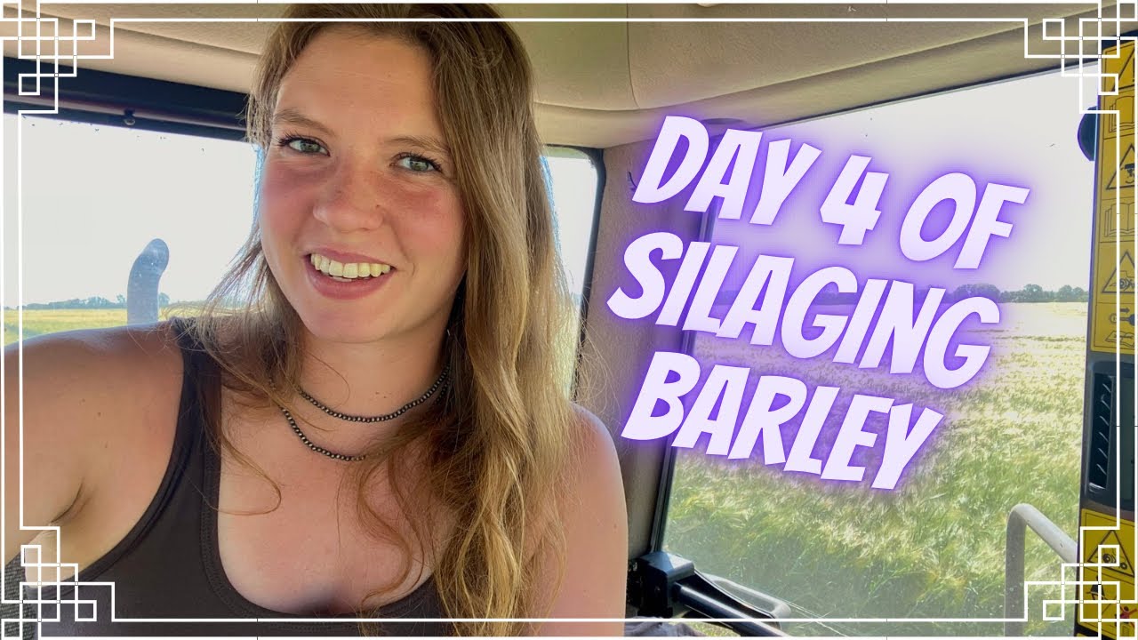 Barley Silage 2025! Part 3