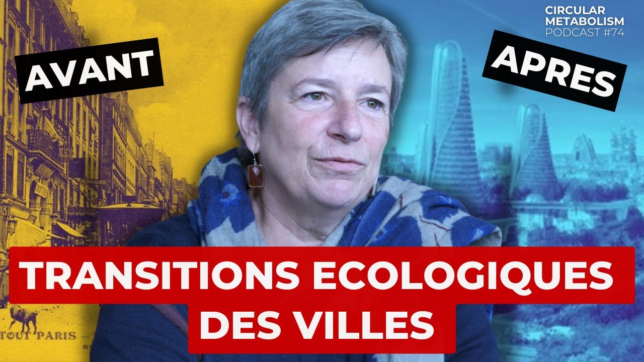 Comprendre les Transitions Ecologiques des Villes (Sabine Barles)