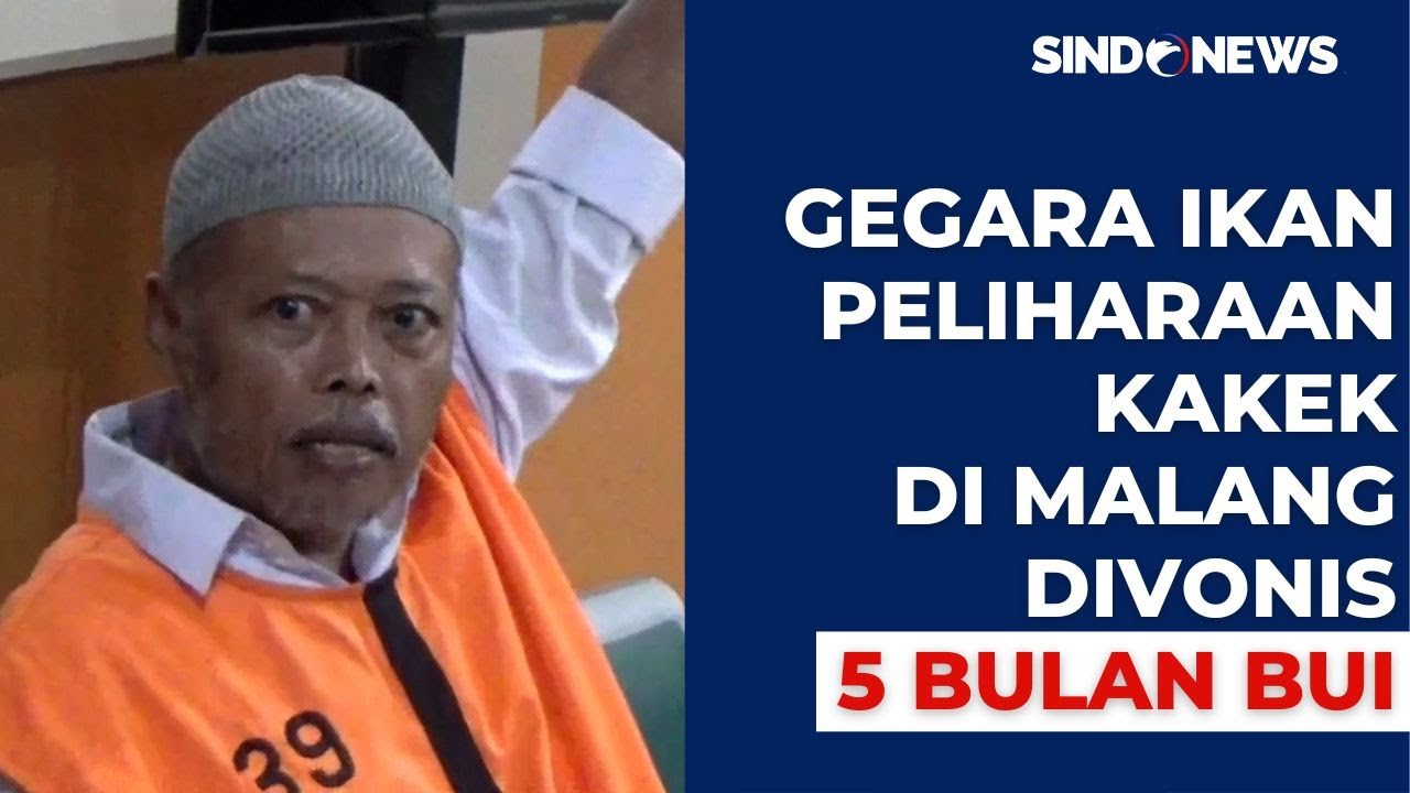 Pelihara Ikan Aligator, Seorang Kakek di Malang Divonis 5 Bulan Penjara dan Denda Rp5 Juta