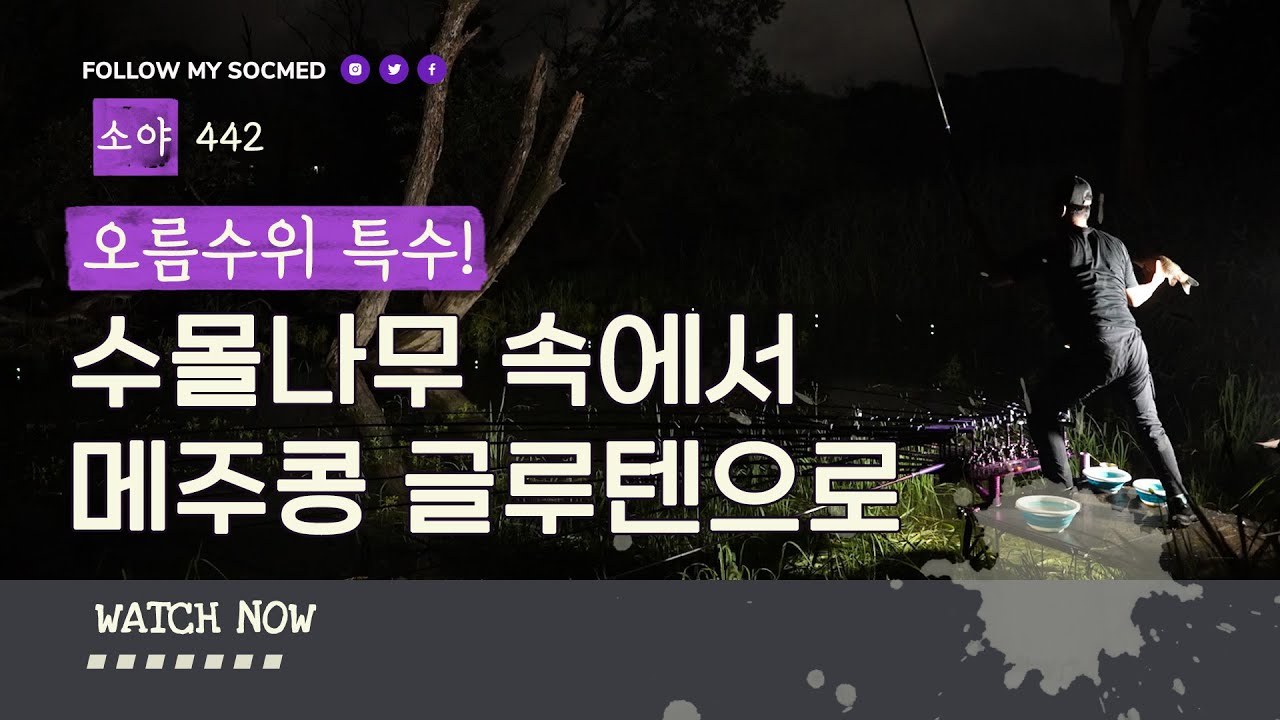 오름수위 수몰나무 속으로 들어온 붕어