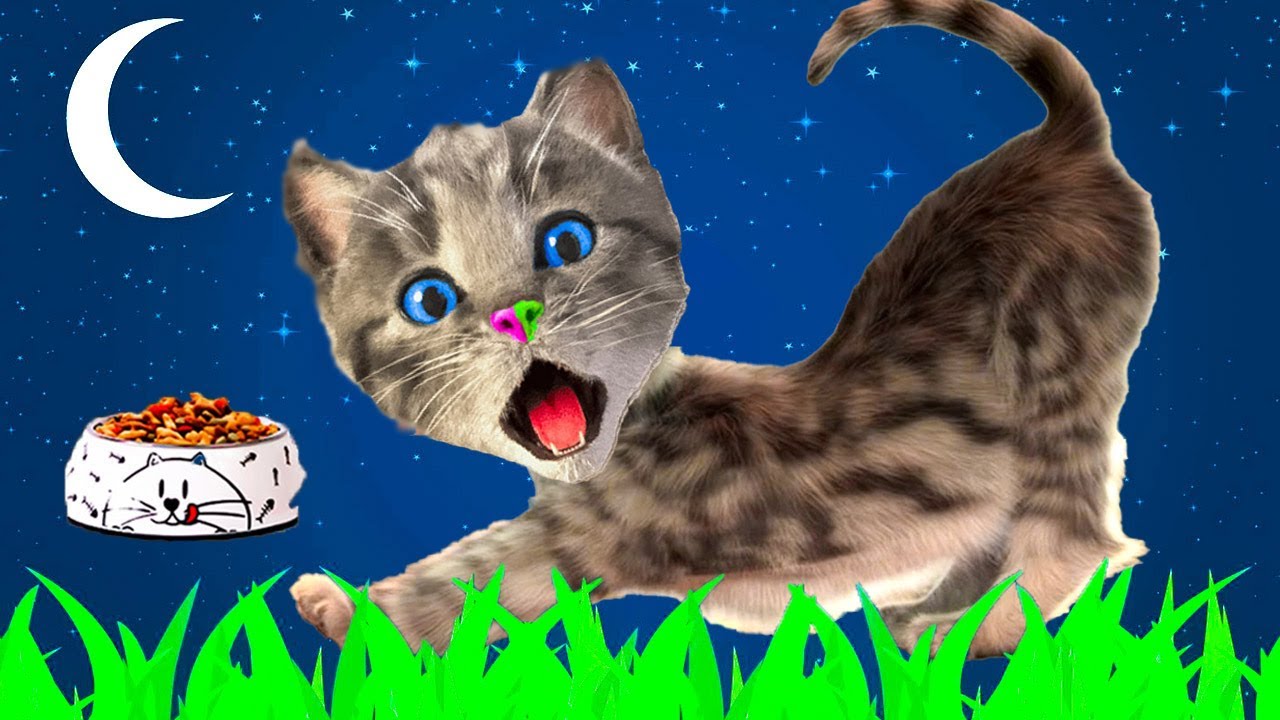 ЗАБОТА О МАЛЕНЬКОМ КОТЕНКЕ ПРИКЛЮЧЕНИЯ - ВЕСЕЛЫЙ КОТЕНОК И СУПЕРМИНИ ИГРЫ ДЛЯ МАЛЫШЕЙ И МАЛЫШЕК