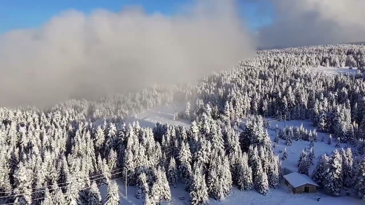 Uludağ sarıalan DRON çekim