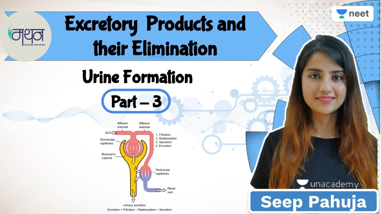 Excretory Products and their Elimination | Urine Formation | L3 | NEET 2022/23 | Seep Pahuja