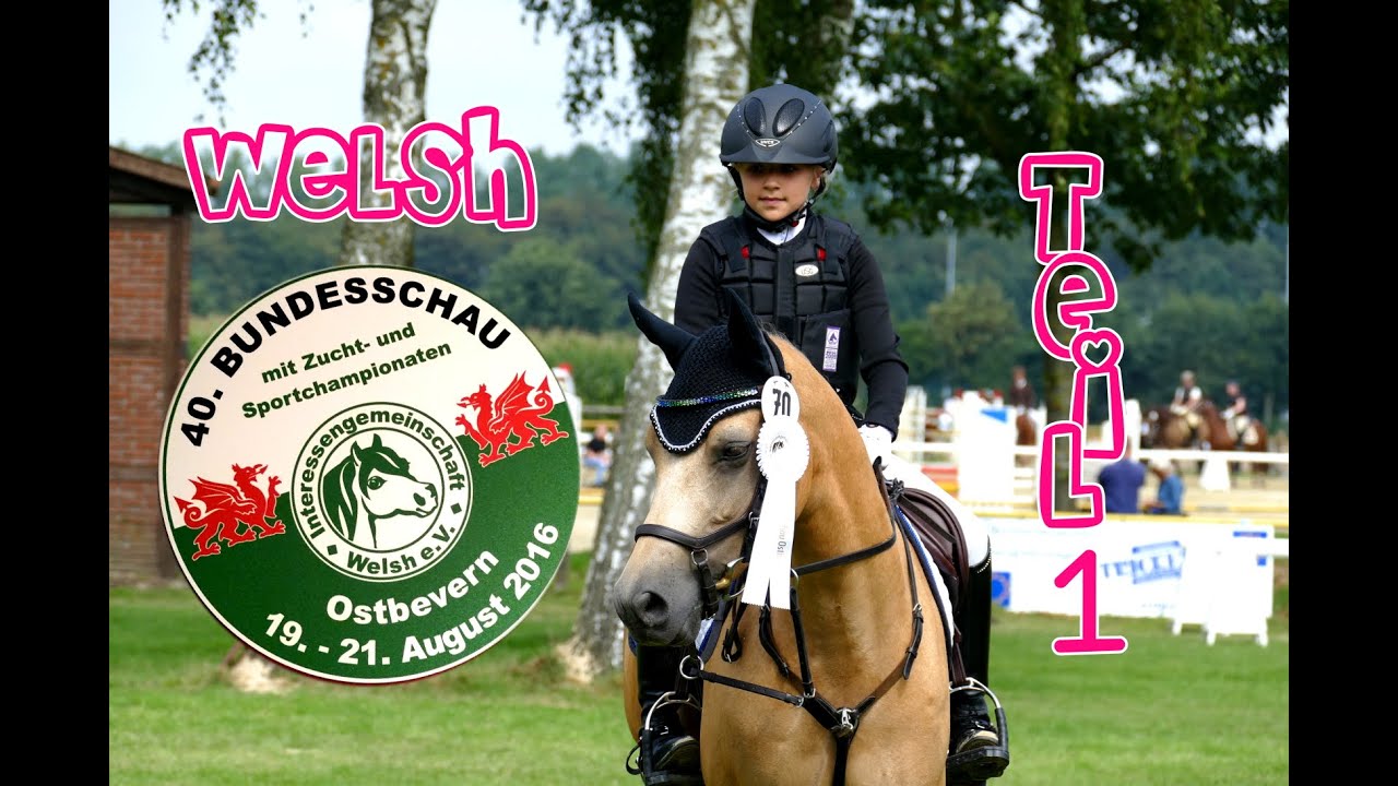 Lia & Alfi - Welsh Bundesschau 2016 - Hunterprüfung und A-Dressur [Teil1]