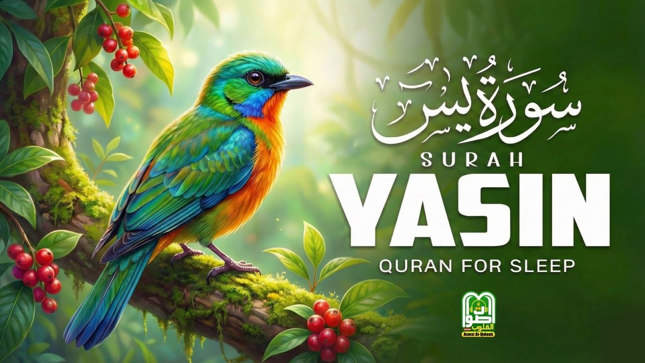 Surah Yaseen | Heart-touching Quran Tilawat | Soulful Recitation to Find Peace and Spiritual Bliss