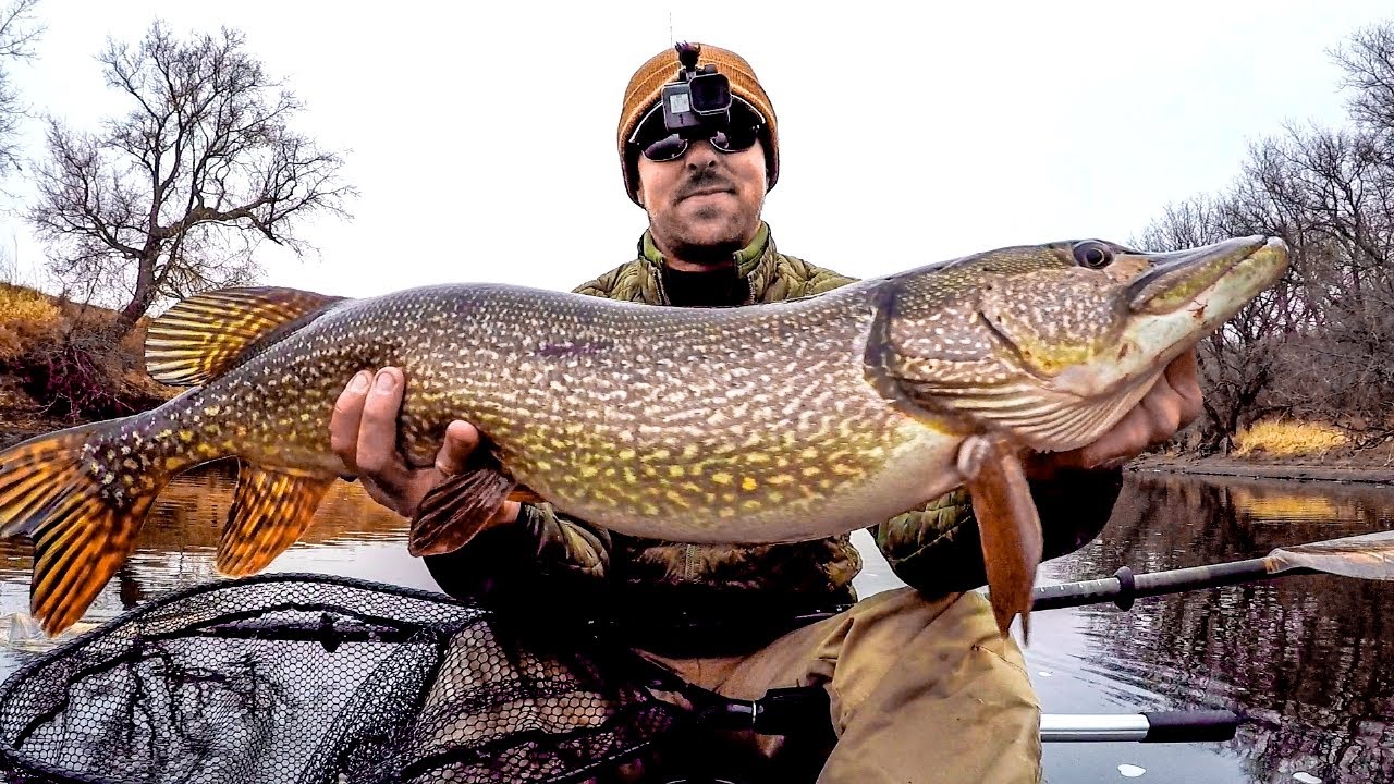 Fishing Big Swimbaits For Big Pike!