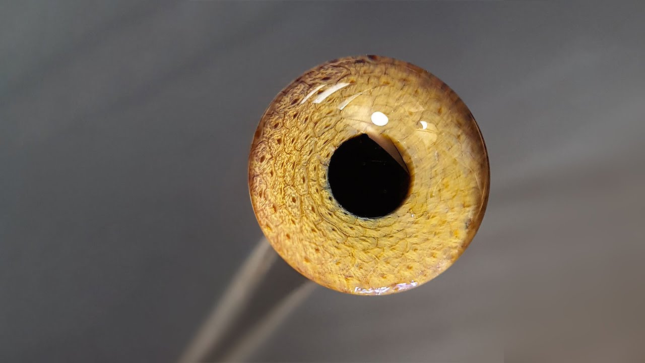 Eye Murrine 3 - Hyperrealism