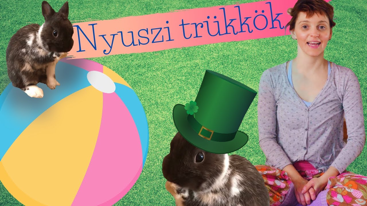 Nyuszi-kunsztok! 🐇🎩