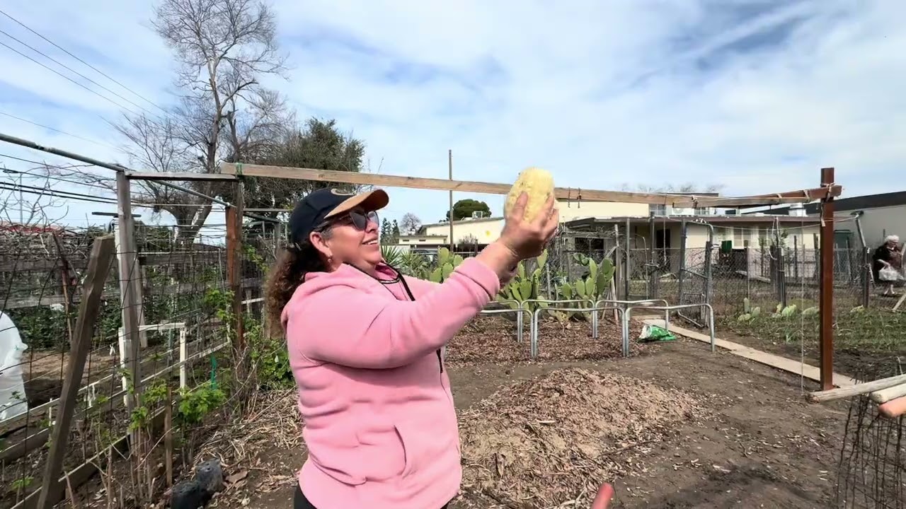 Un día más de la agricultura con los chalatecos 🍃