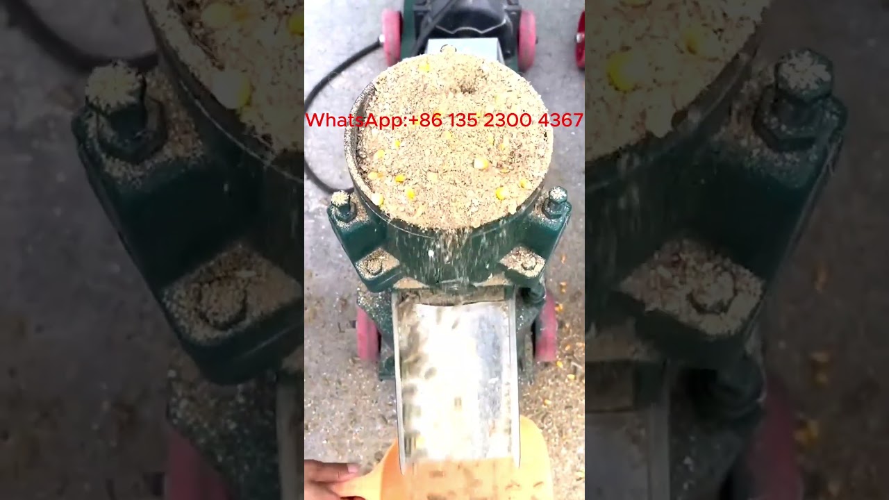 Maintenance tips for pellet feed equipment: make the machine more durable