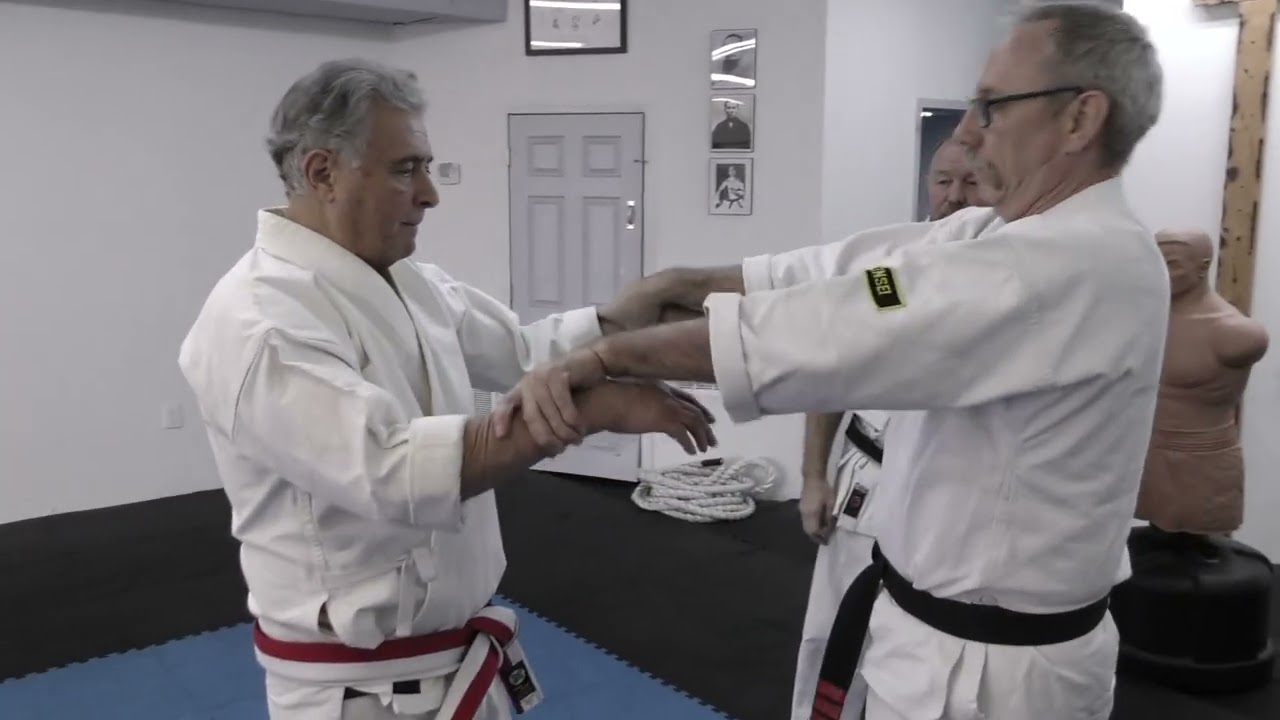 Bunkai Extension 3