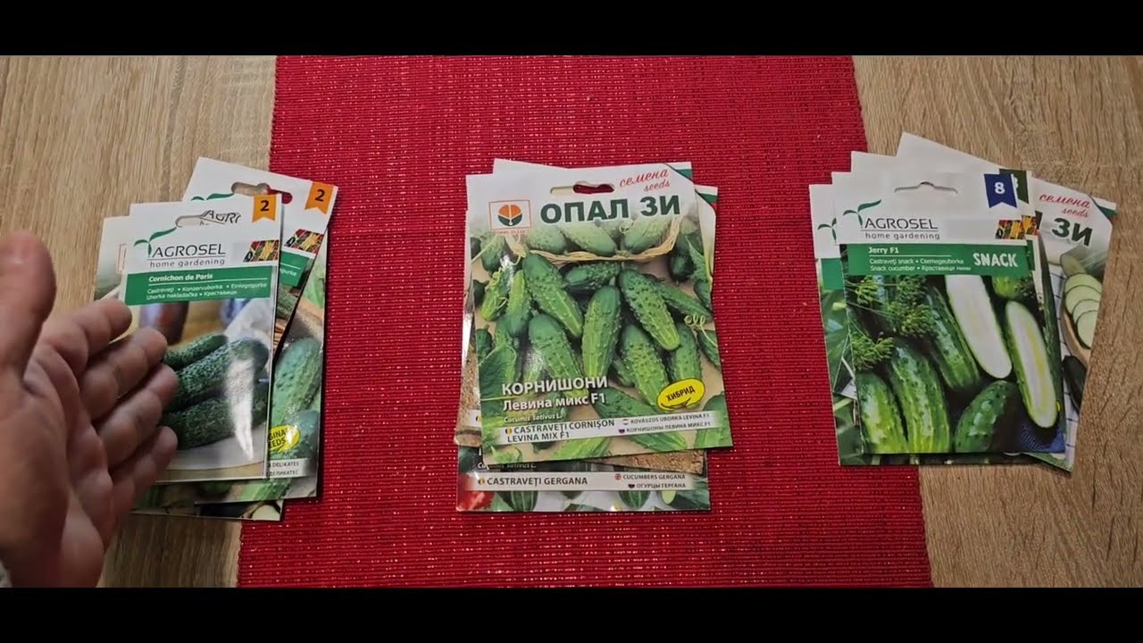 Hogyan válasszunk uborka vetőmagot?