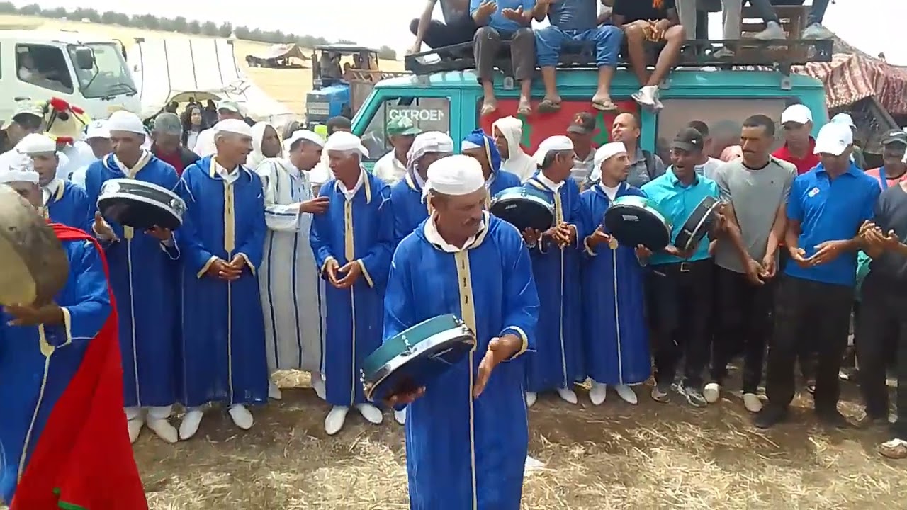 الصفاصيف